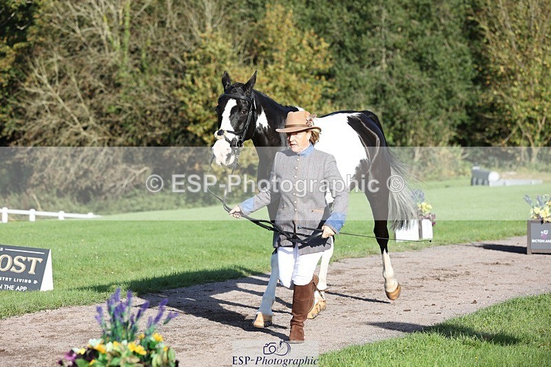 241027-093711-15394 - 454-Judy.Hollidge-CORBETT