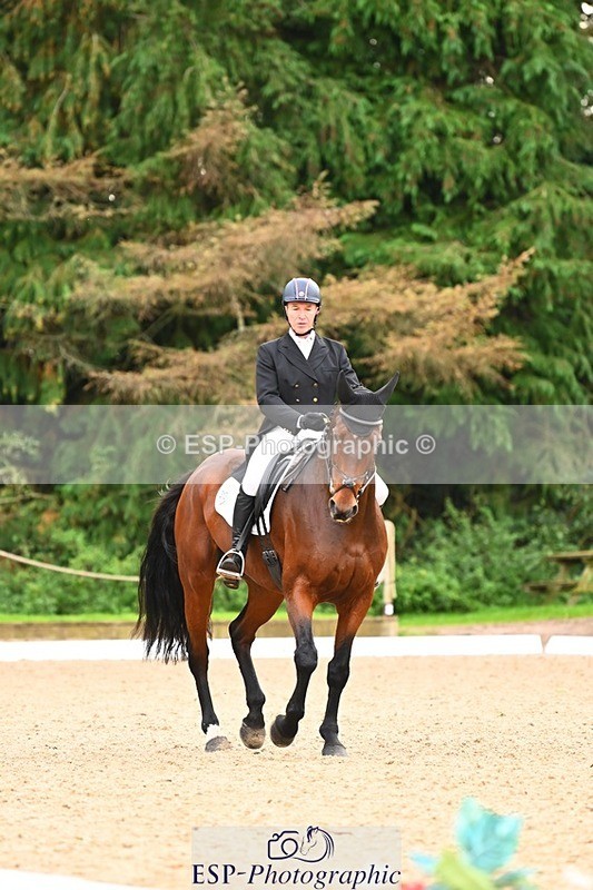 231020-152926-12008 - 313-CURTIS.DES.CHAUMES-Gilles.Serbource-DR