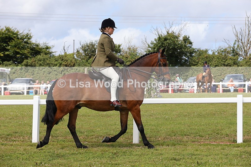 1X9A3953 - Class 32: Show Hunter Pony 153cm and under