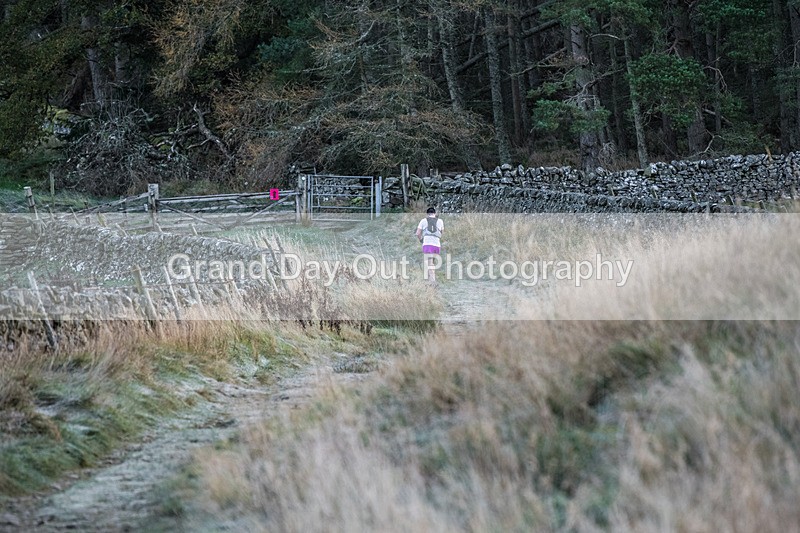 Tweed Valley-7 - High Terrain Events Tweed Valley 65 & 50K Ultra Trail Races Sunday 17th November 2024