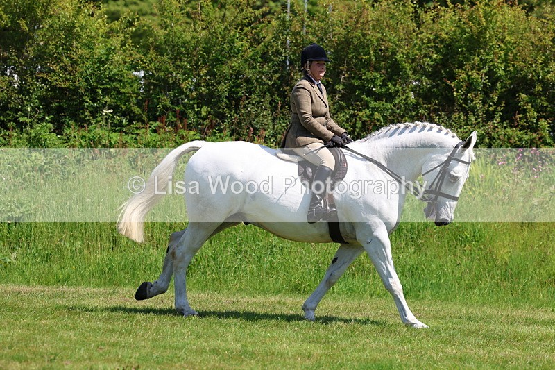 3E7A8300 - Class 13: Ridden Hunter