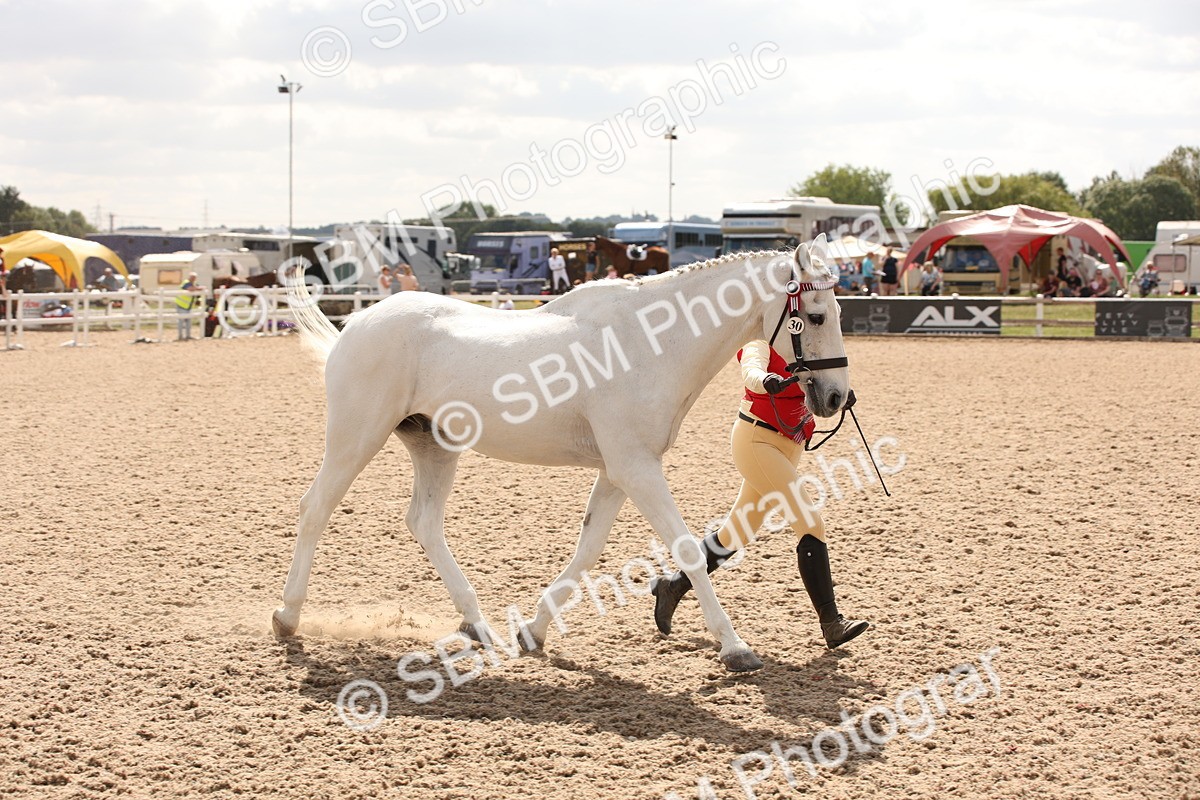 SBM_04618 - Class 20 IH Veteran