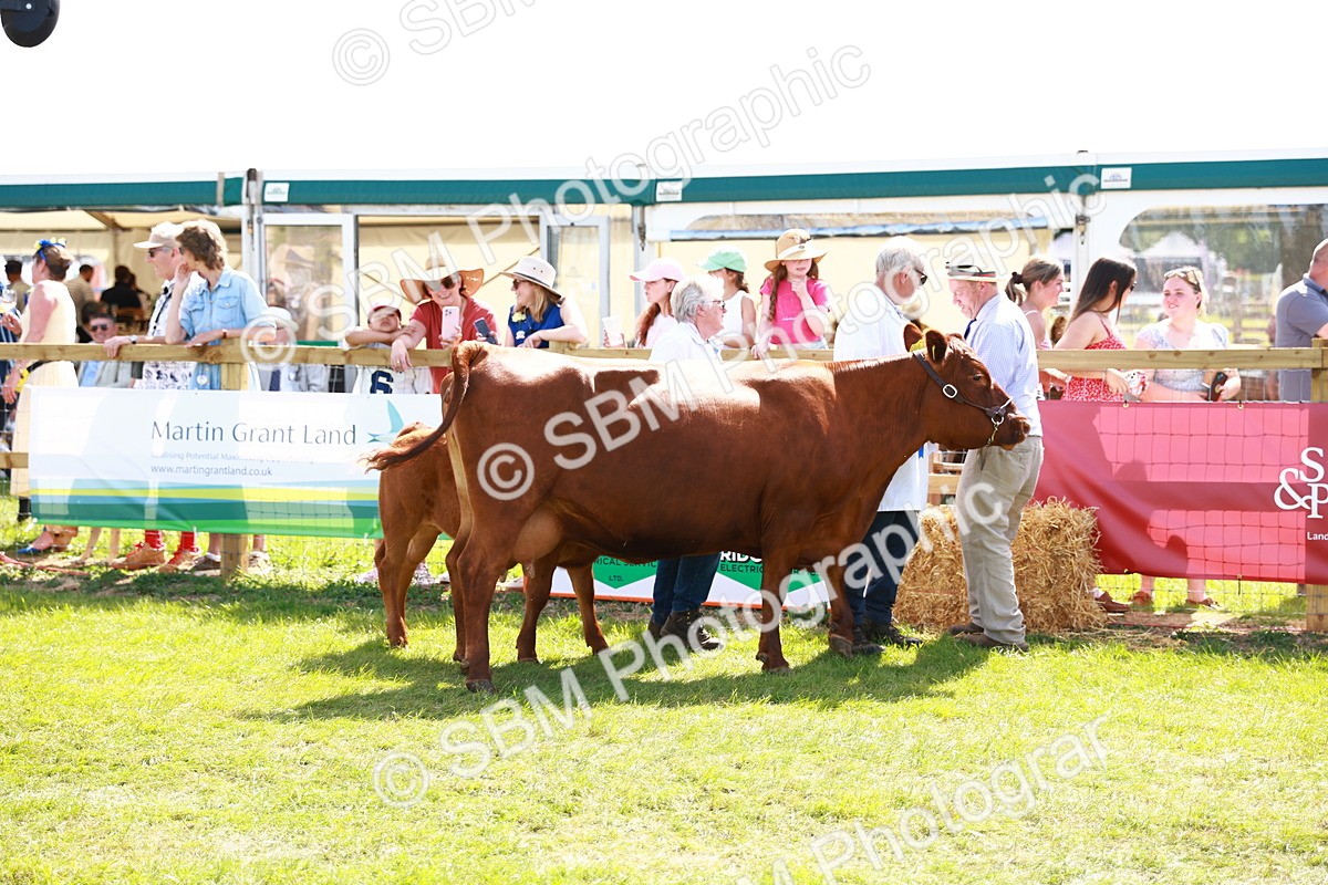 SBM_08446 - Grand Parade