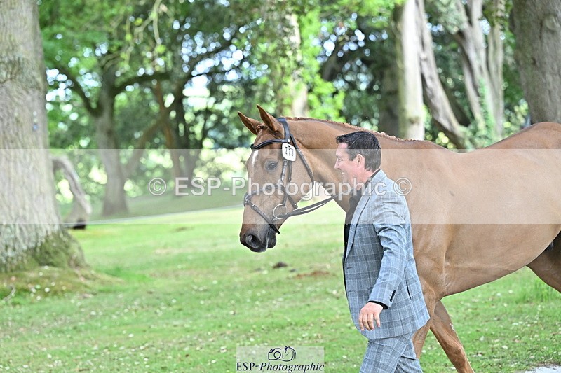 250521A-165601-01413 - C-273-Tim.Cheffings-HEARSAY.LARK.RISING