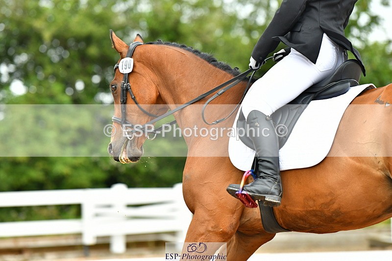 230708A-095930-02289 - Prelim 13