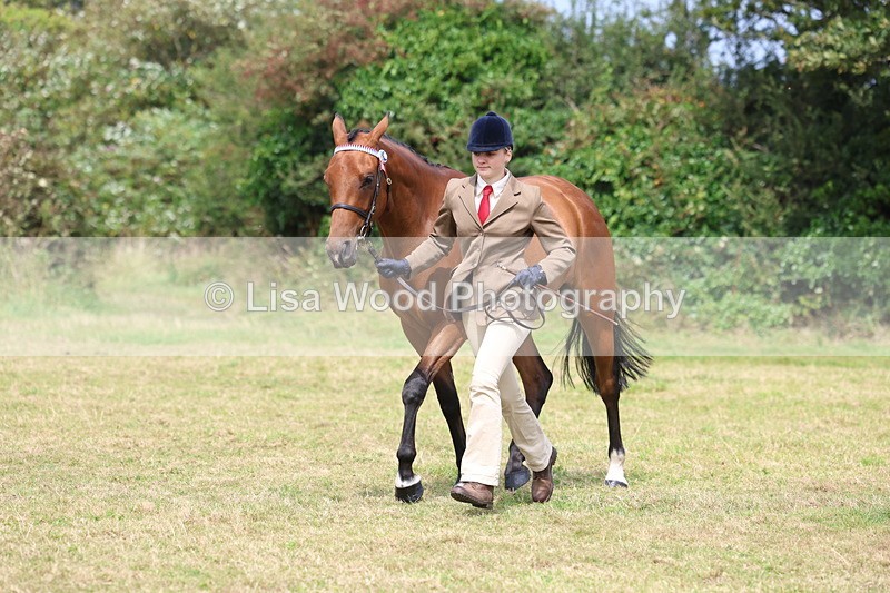 3E7A5539 - Class 20: Sports Horse In Hand