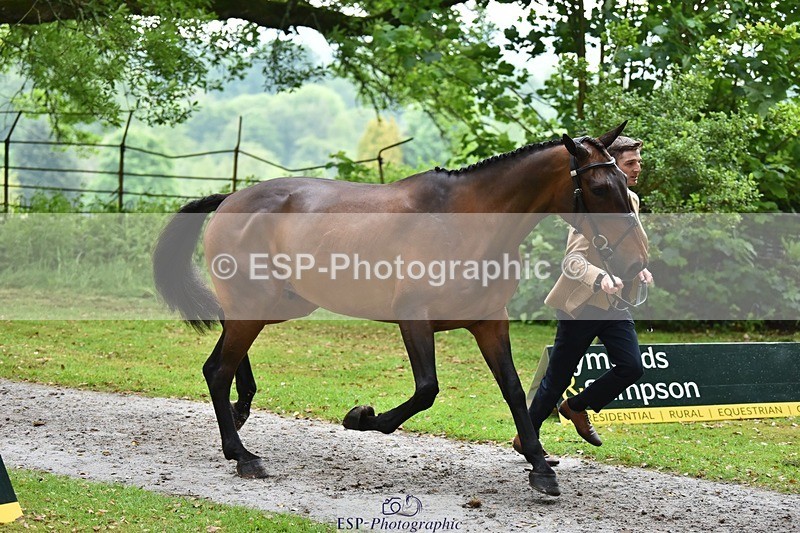 240522-165506-01251 - 228-SAGE_SOLDIER-Tom_Jackson