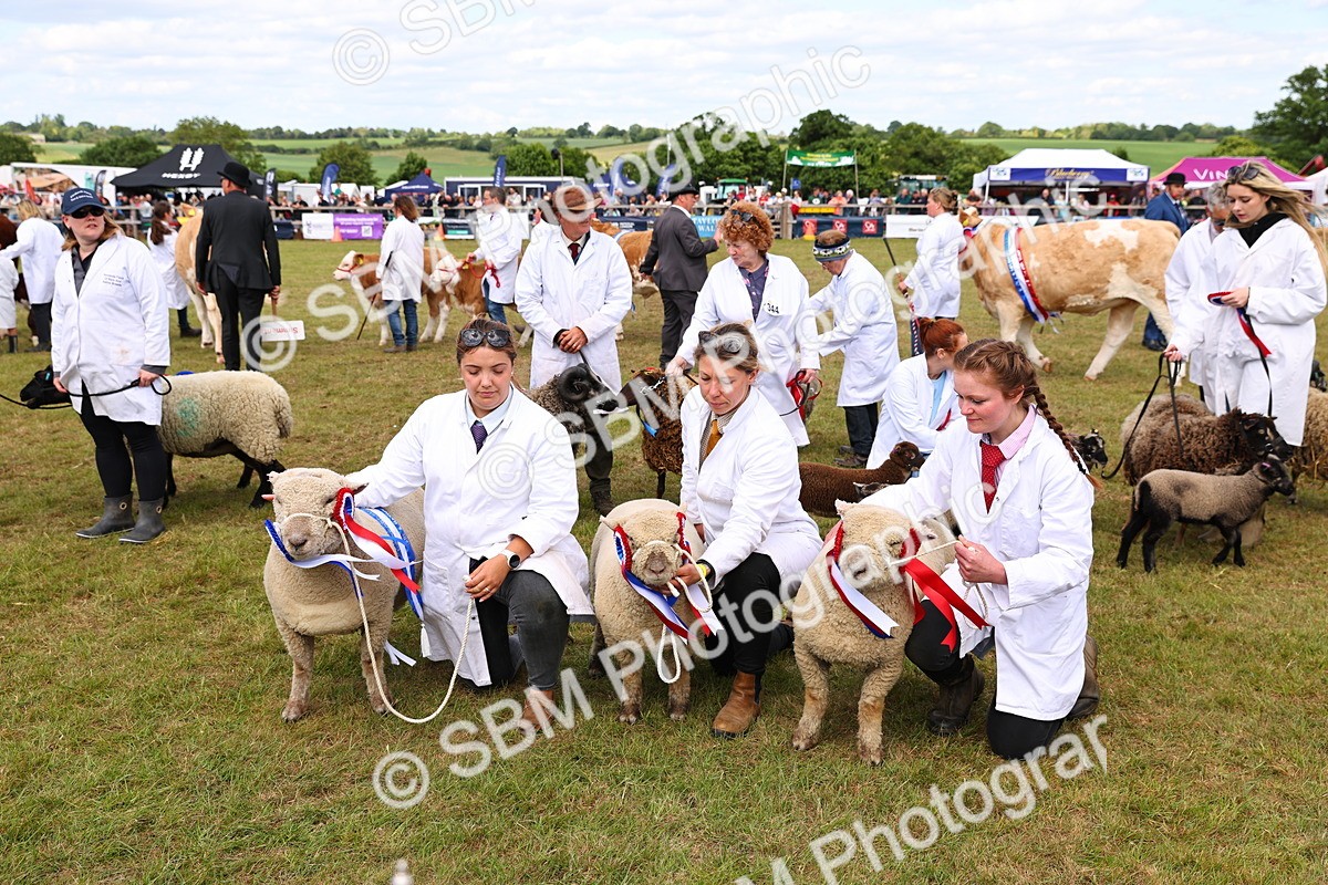 SBM_16947 - Grand Parade