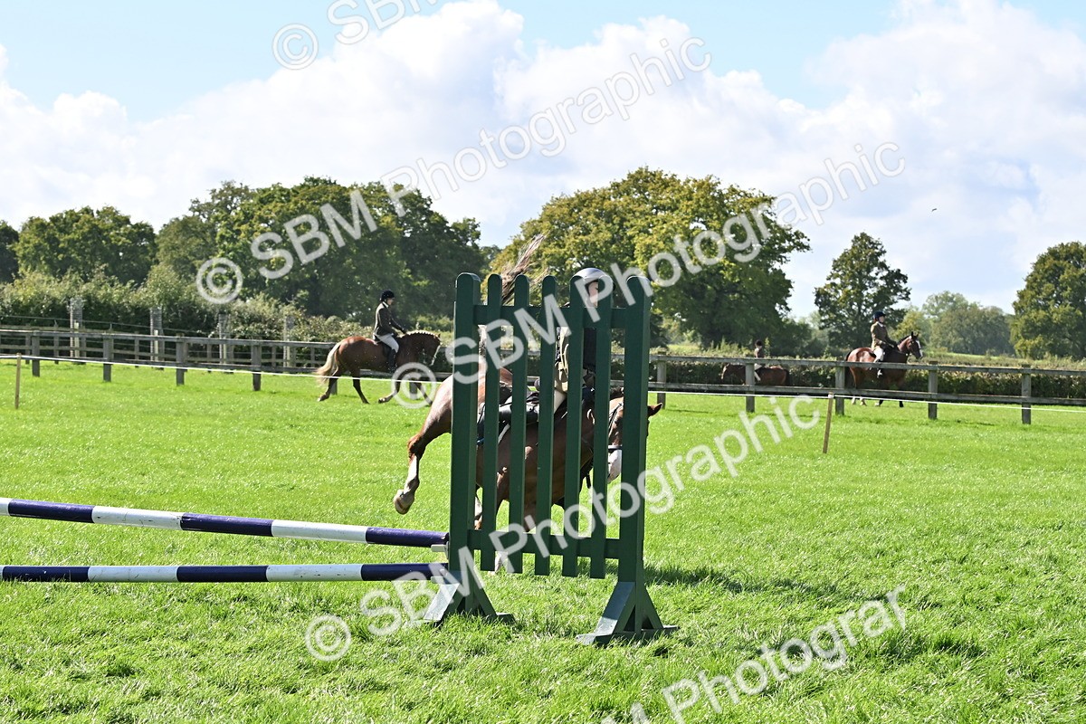 SBM_44529 - S13 - Pony Club Pony