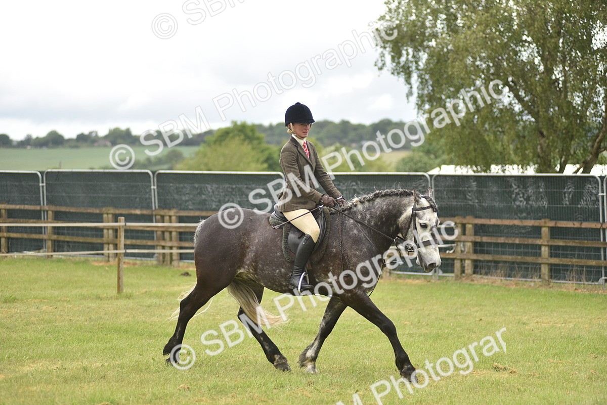 SBM_12109 - Class 110-112 - LIHS BSPS Performance Pones