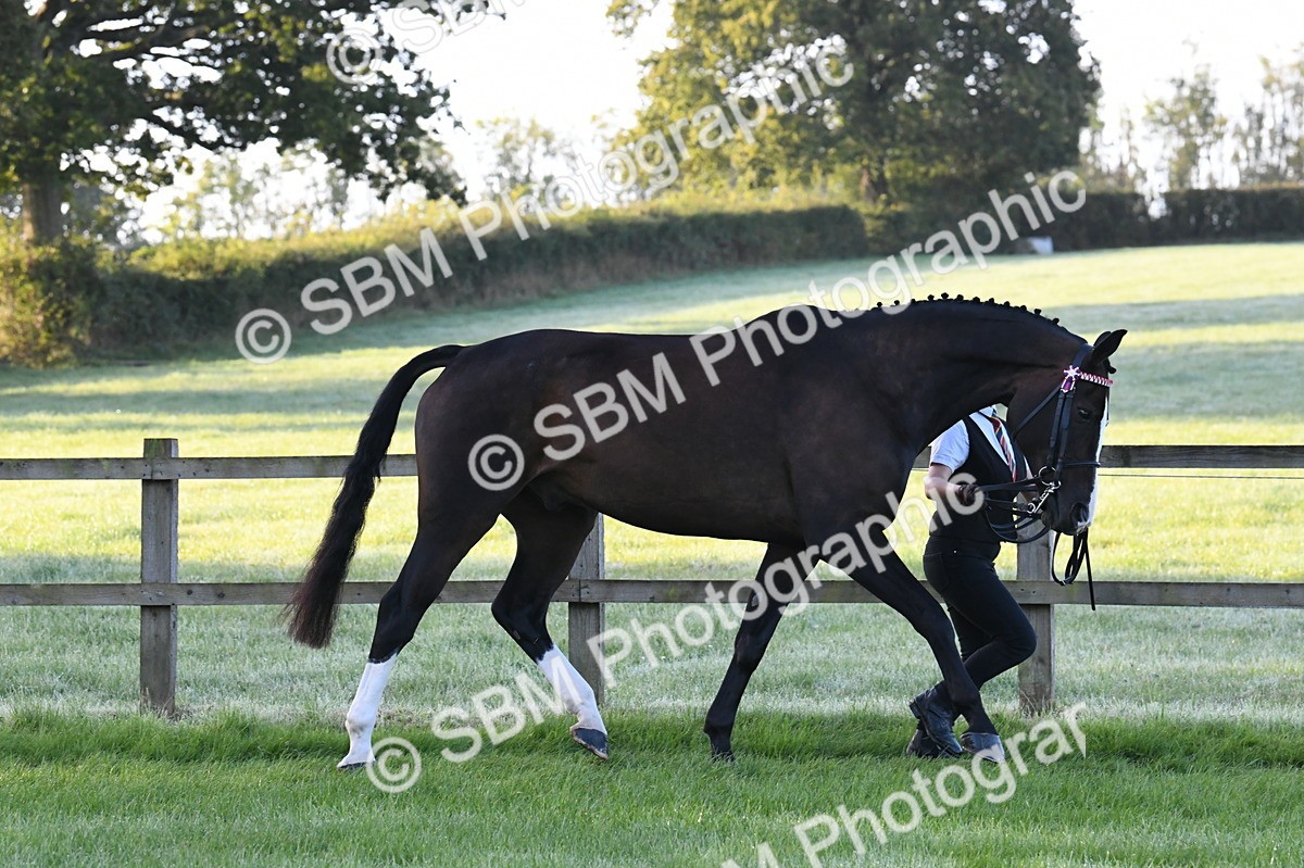 SBM_32584 - S15 - Condition & Turnout In Hand