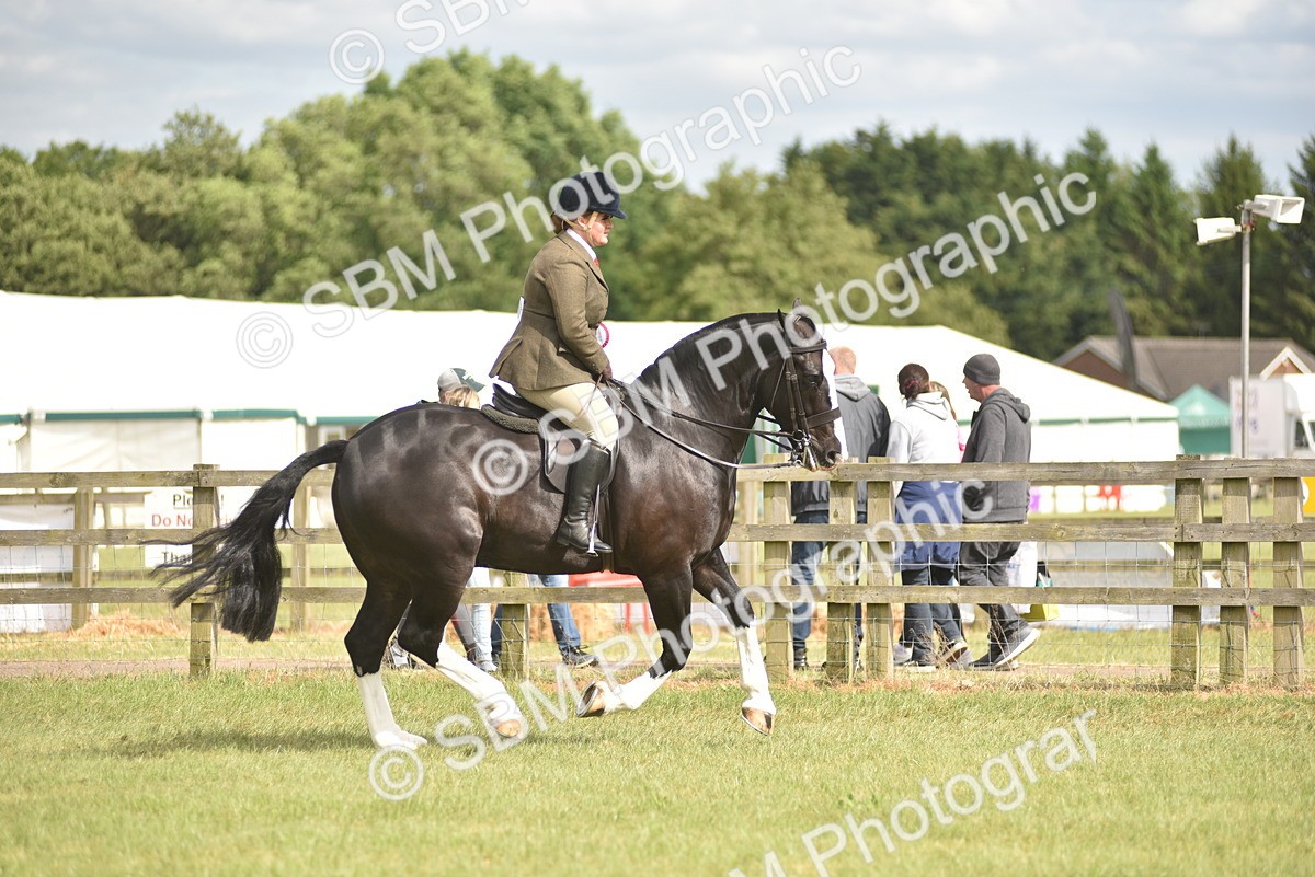SBM_17770 - Class 122-123 - LIHS BHSA Raising Star Style and Performance Series