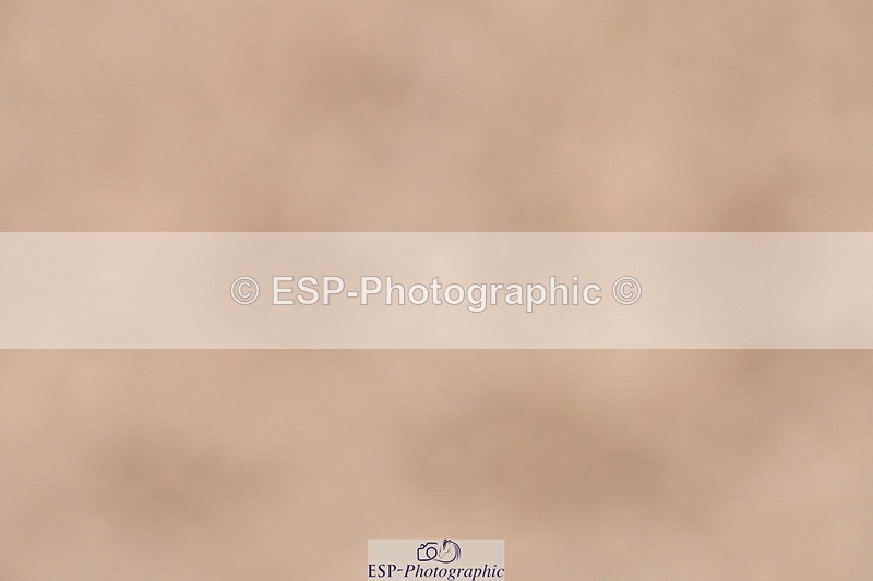 231217A-122211-00979 - Unaffiliated Classes