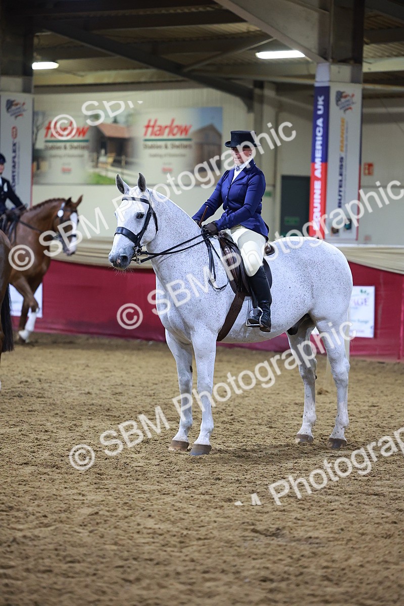 SBM_15405 - Class Q - Ridden Horse Champ