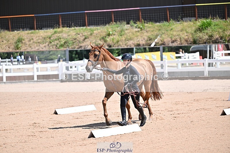 250716-123624-00065 - Trot Up 12.30 to 1.30