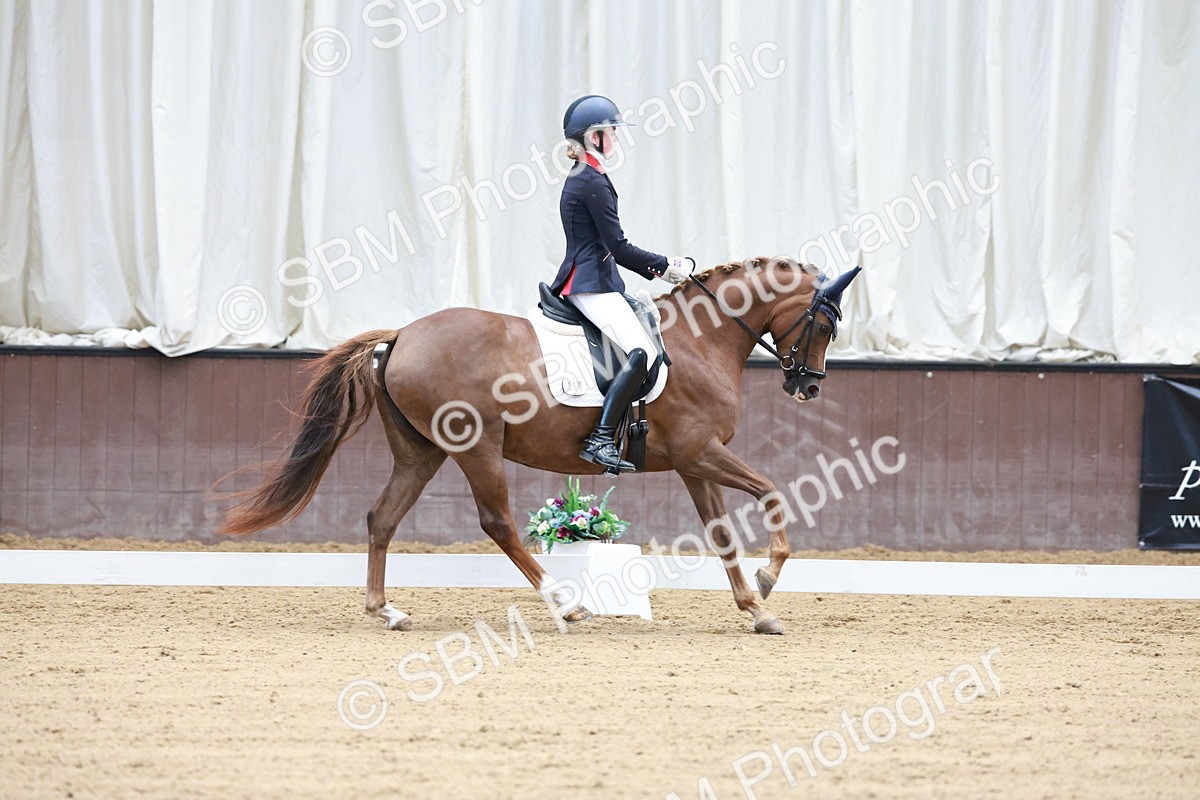 SBM_017194 - Class15 - FEI Pony
