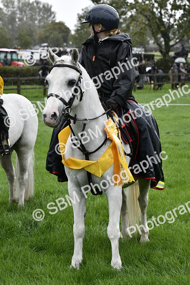 SBM_35575 - S30 - Nursery Stakes Working Hunter Pony