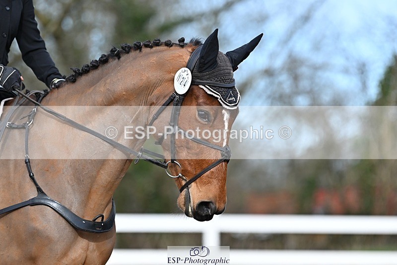 250125-125437-00511 - Dressage - CT Class 6 BE102