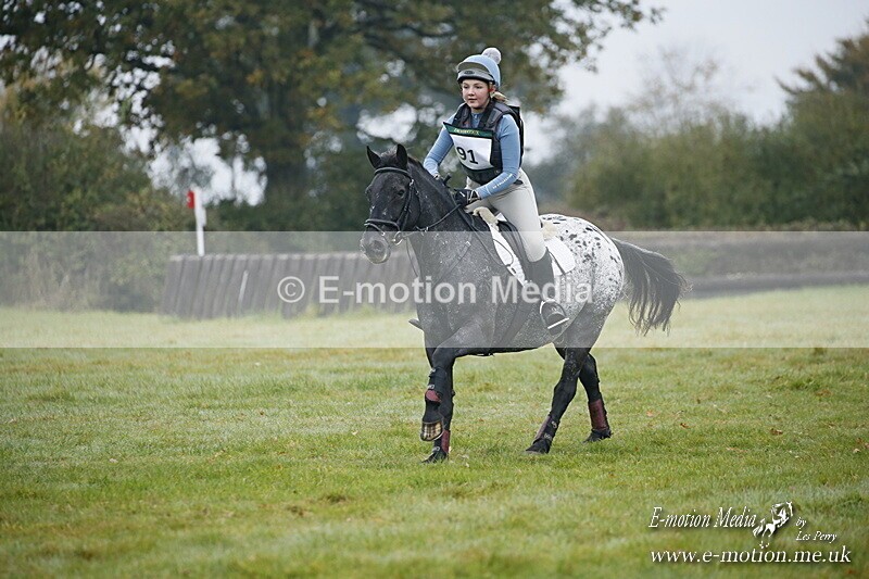 WWHT 181020 WWHT 181020 193 - WWEC Novice Restricted (0.80m) 18/10/20