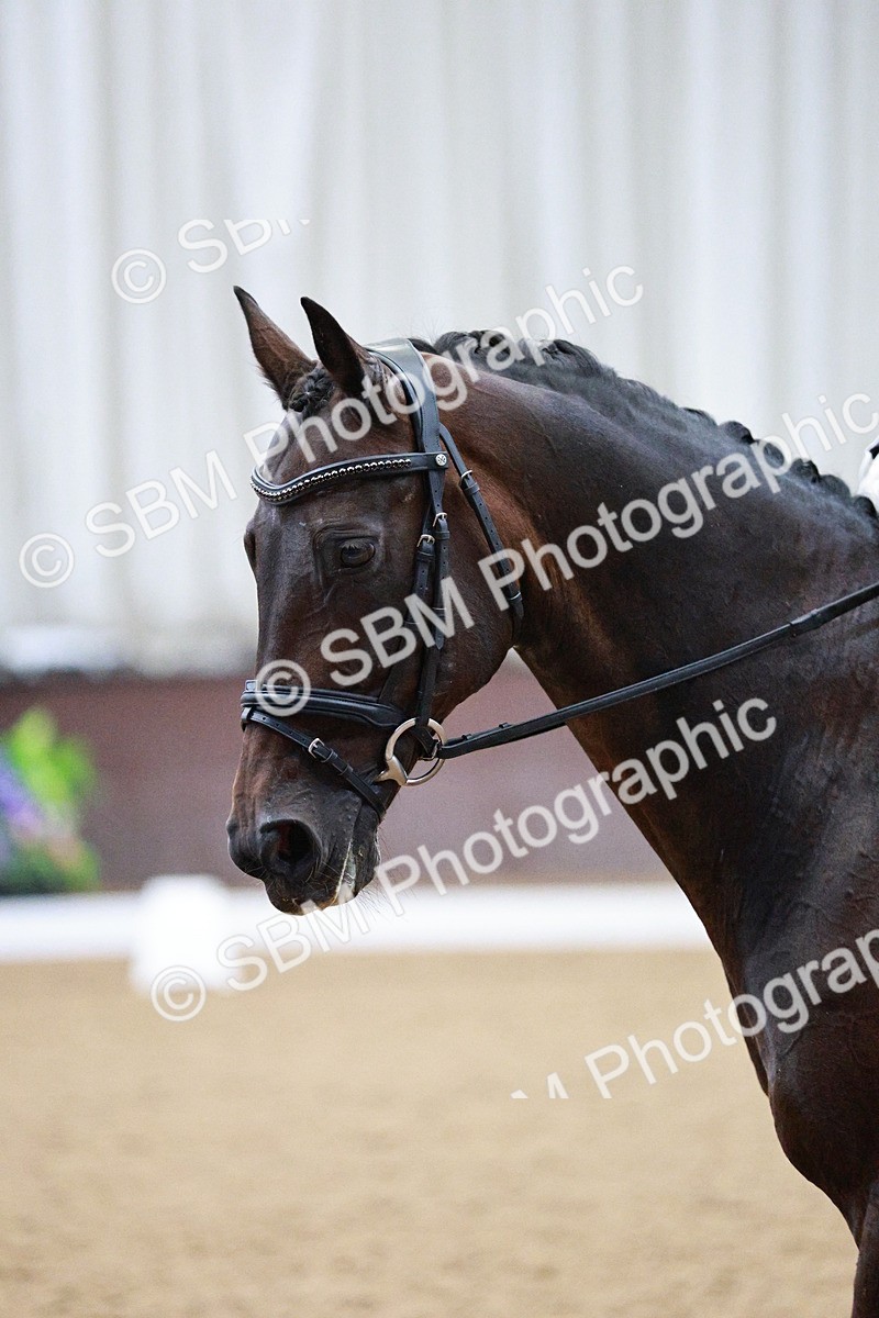 SBM_020590 - Class 13 - FEI INT I - 15.30-16.00