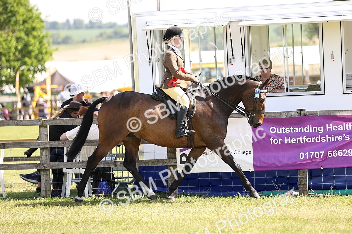 SBM_13067 - Class 75-76 LIHS BSHA Rising Star Hack Riding Horse