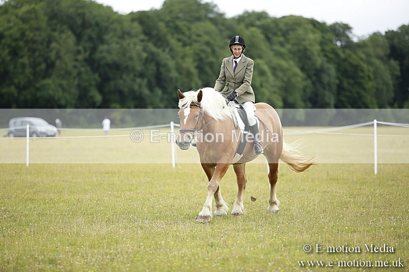 BVR160717-294 - Ring 1 BVRC Show 16/07/17