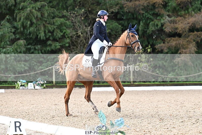 251023A-101753-01481 - B-128-Holly.Law