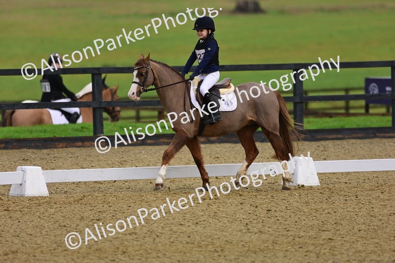 20260125-0667 - Class 9b - Walk Trot Unassisted