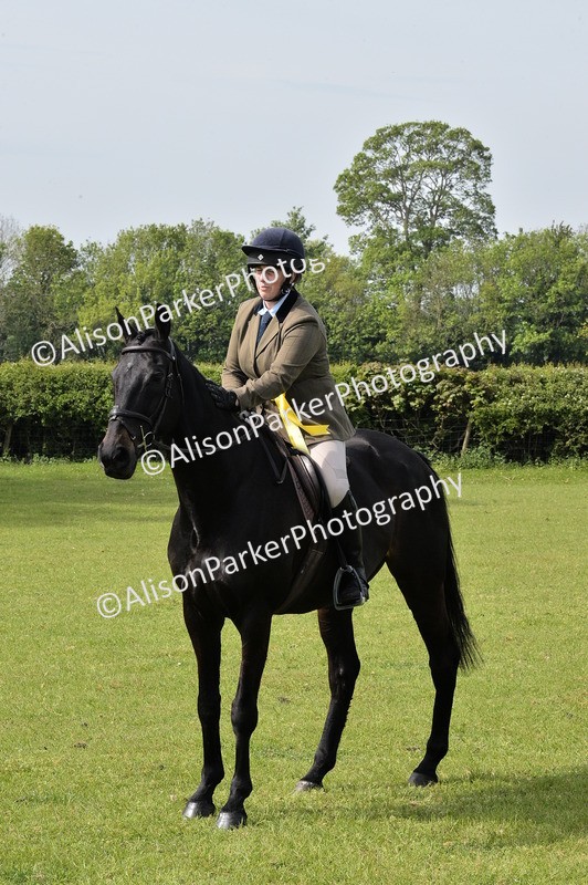 20260426-1173 - Class 19 - Retraining Of Racehorses