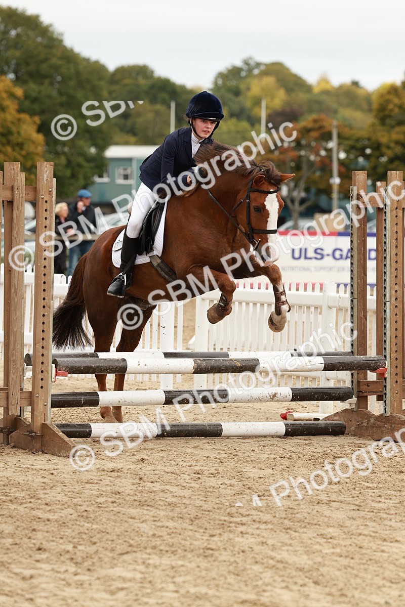 SBM_66914 - J13 - Junior Pony 60cm Championship