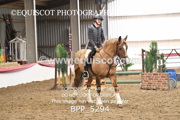 BPP_5294 - CLASS 6 60CM