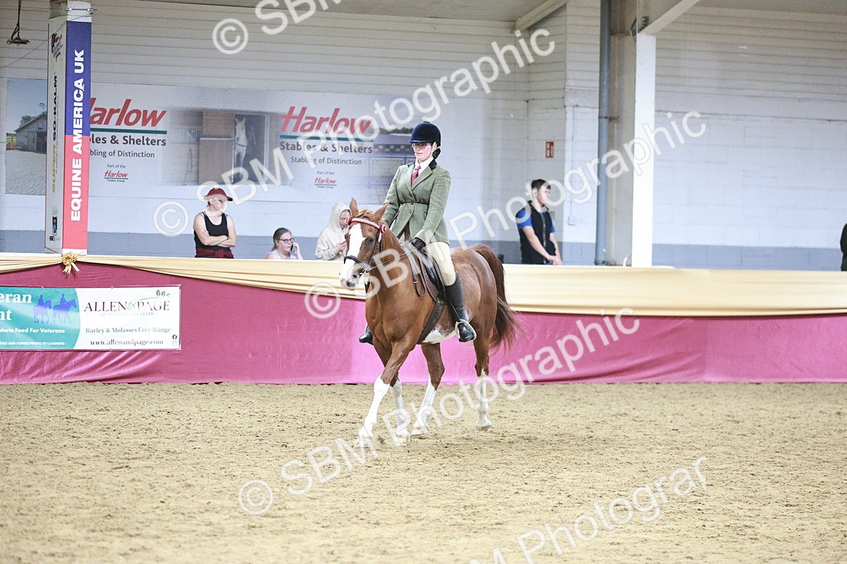 SBM_08136 - Class 11R - Regional Ridden Veteran