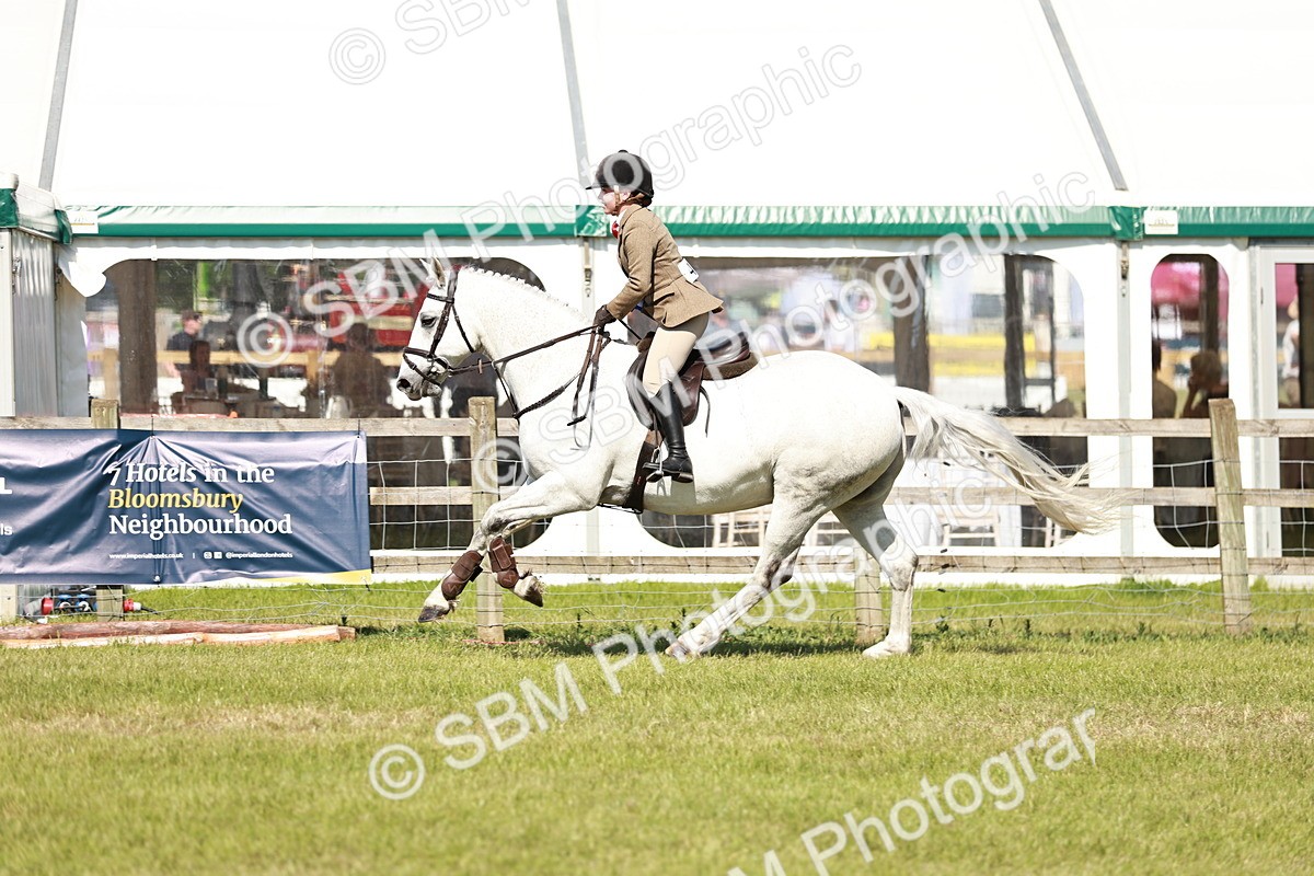 SBM_18534 - Class 112-113 - BSPS LIHS Working Sports Pony