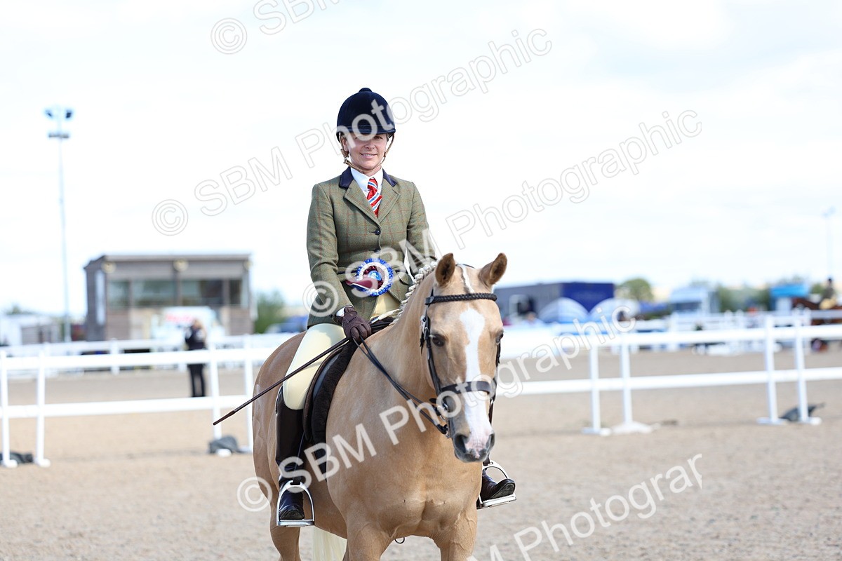 SBM_13347 - Class 311 - Ridden Show Pony Show Hunter Pony