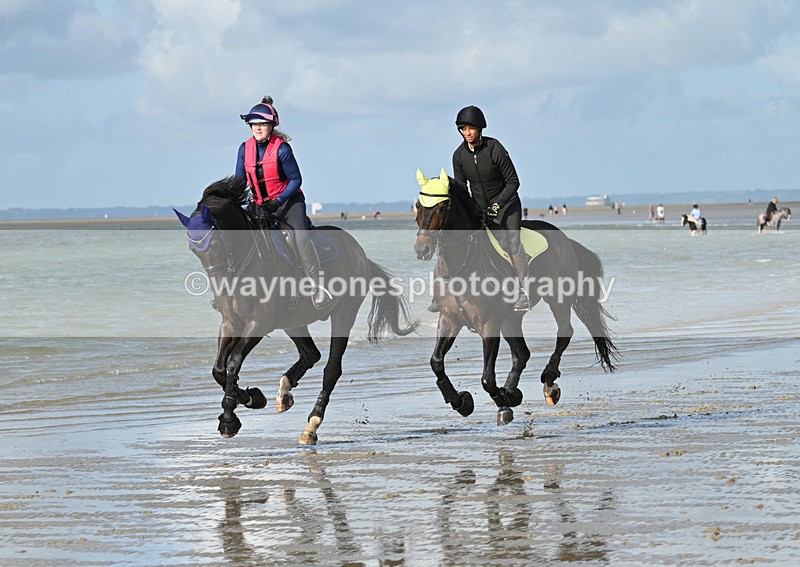 WJ7_4411 - Kellie & Churchill ... do Hayling Island 25-08-24