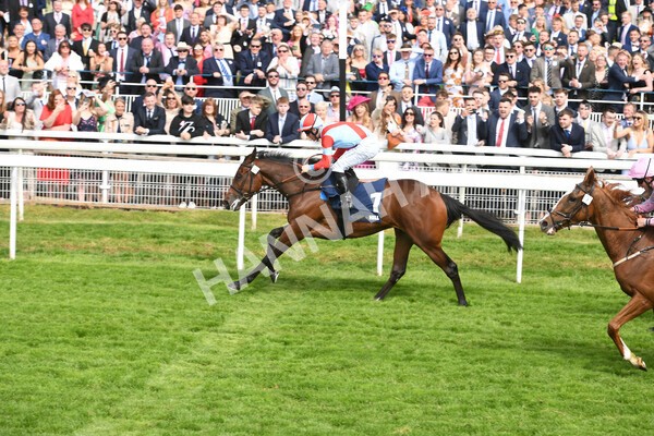 yr21052022r4-23 - Race 4: 3:30pm William Hill Brontë Cup