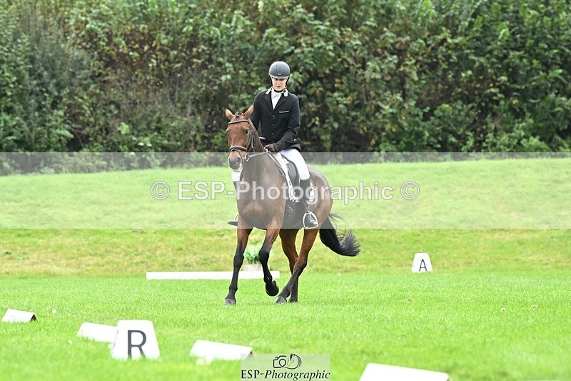 241024-111126-03160 - 504-Harry.Robinson-WHAT.A.WONDER