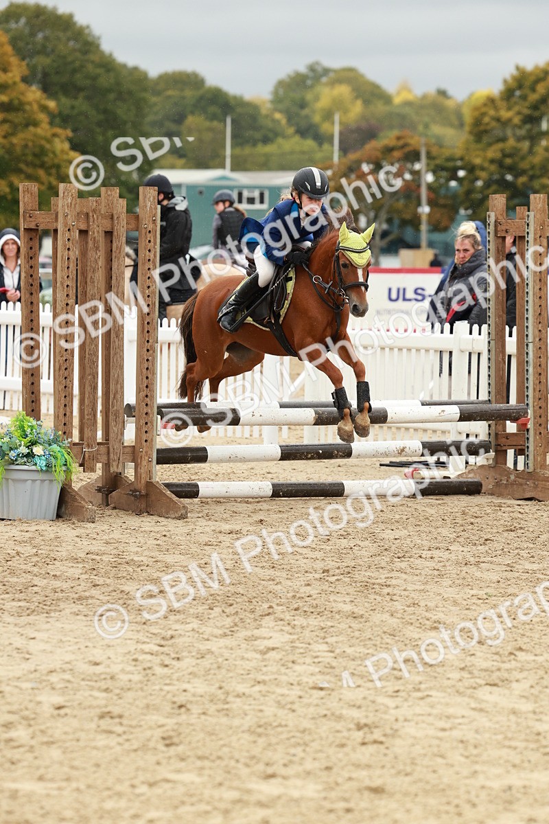 SBM_69111 - J13 - Junior Pony 60cm Championship