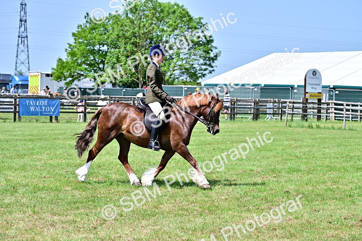 SBM_03794 - Class 58 - TSR  Ridden Veteran Amateur of the year