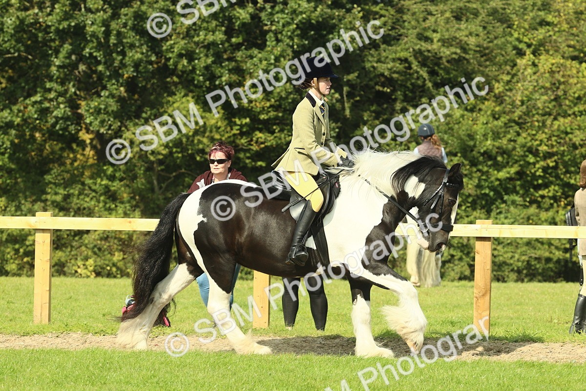 SBM_67457 - S56 - Coloured Pony Ridden
