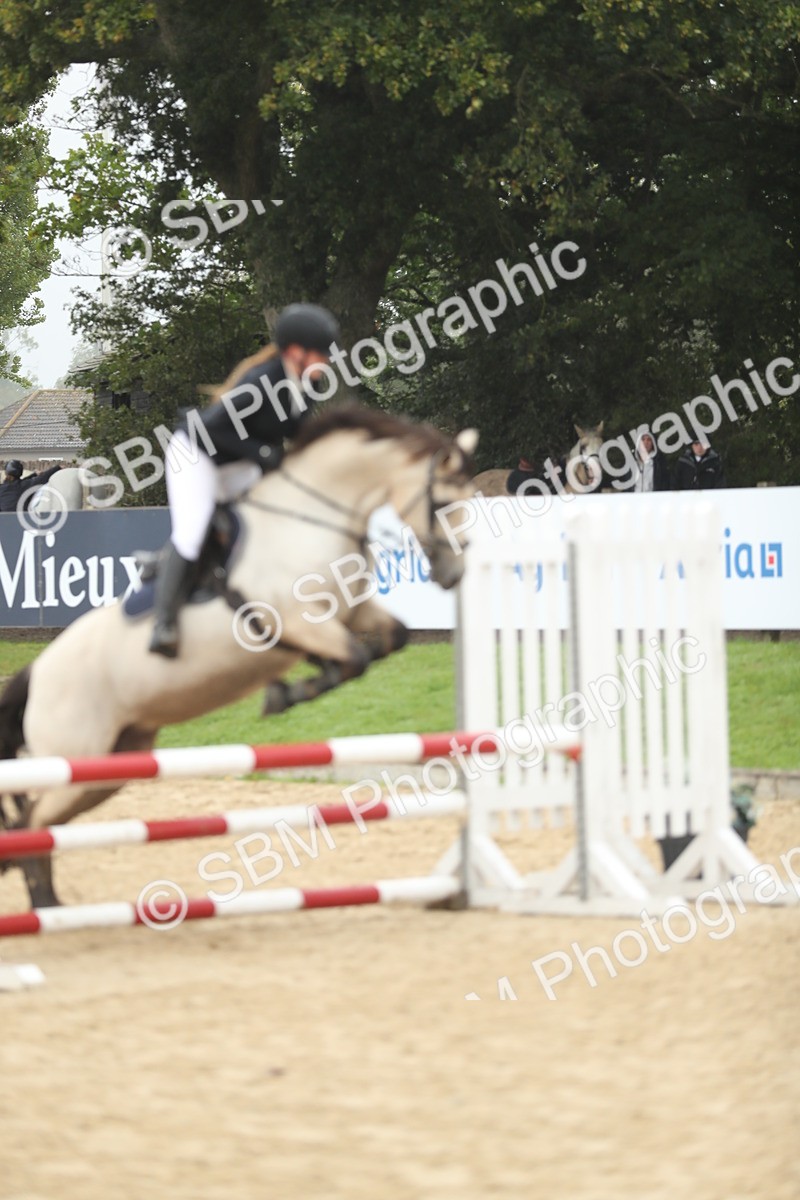 SBM_73715 - J16 - Junior Pony 75cm Championship