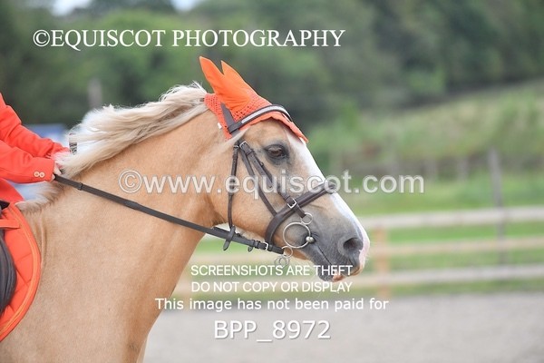 BPP_8972 - CLASS 4 50CM