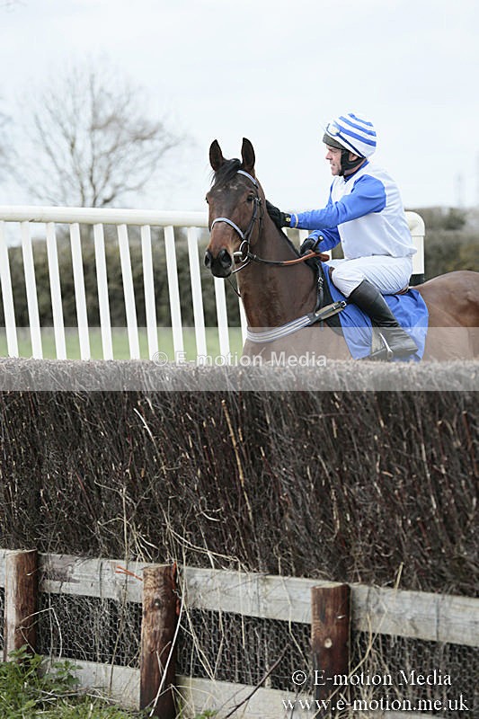 PtP 230319 56 - VWH Hunt Siddington Point-to-Point Racing 23/03/19