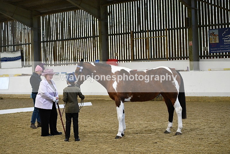 WJ5_3812 - Class 5 In Hand Veterans