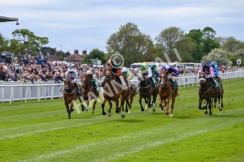 160526-Race 1-Dees Funny Girl-9185 - Race 1 1.52pm Marion Gibson Brown Memorial - Irish EBF Restricted Maiden Fillies' Stakes  (Div I)