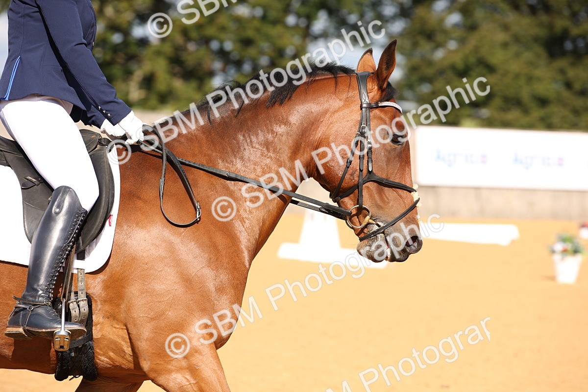 SBM_04206 - D2 Small Tour Championship Intro C