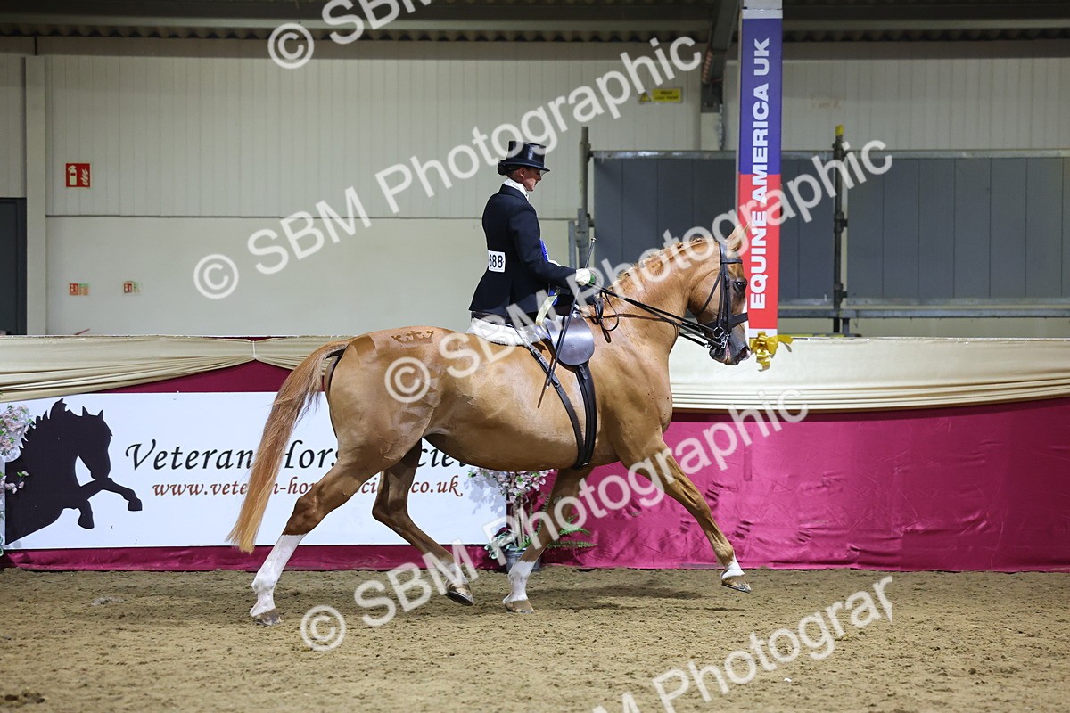 0B8A4262 - Class L Side Saddle Champ