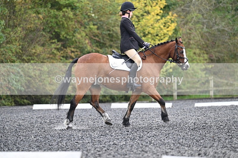 WJ7_3943 - Time 11:04 to 11:38