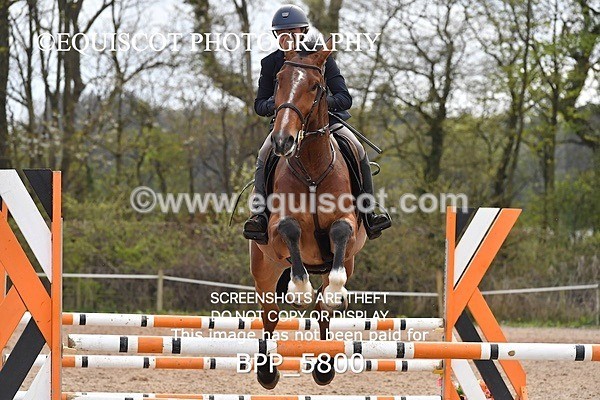 BPP_5800 - CLASS 24 SUN Senior British Novice/ 90cm Open