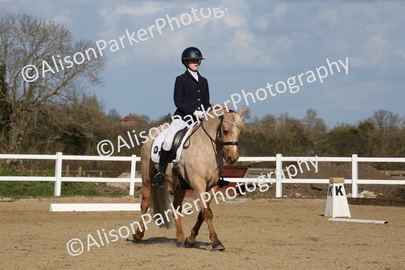 20260314-5179 - DR6 - Novice 2